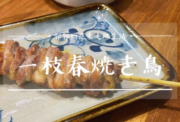 【花蓮壽豐】一枝春 焼き鳥┃內行人才知道，隱身東華大學後門的串燒小店┃