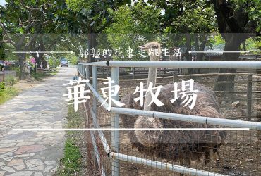 【花蓮市區】華東牧場┃烤雞烤魚有吃又有玩，免費入園的親子出遊景點┃