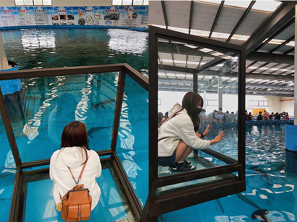 【宜蘭遊記】金車生技水產養殖研發中心┃雨天出遊備案，體驗餵鯊魚樂趣的親子景點┃
