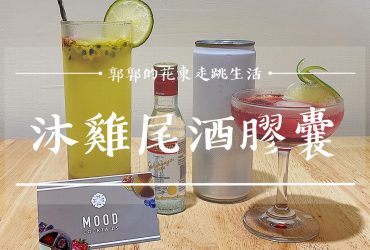 【生活開箱】沐・雞尾酒MOOD Cocktails┃人人都是調酒大師，方便卻不失專業的派對選擇┃