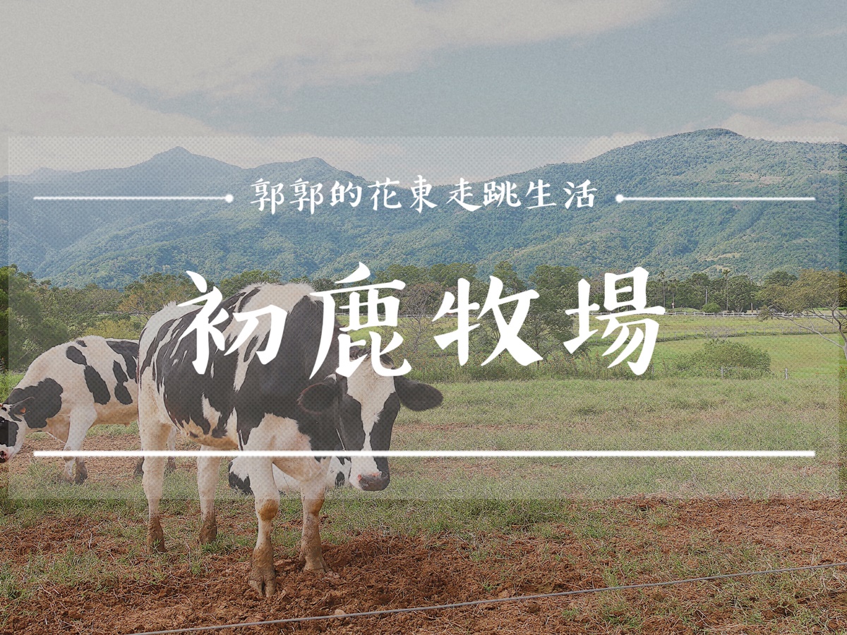 【台東遊記】初鹿牧場┃把時間留給台東，享受與乳牛互動的愜意生活┃