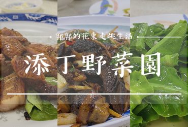 【花蓮鳳林】添丁野菜園┃合菜餐廳什麼都有什麼都不奇怪，最新鮮的在地食材攏底家┃