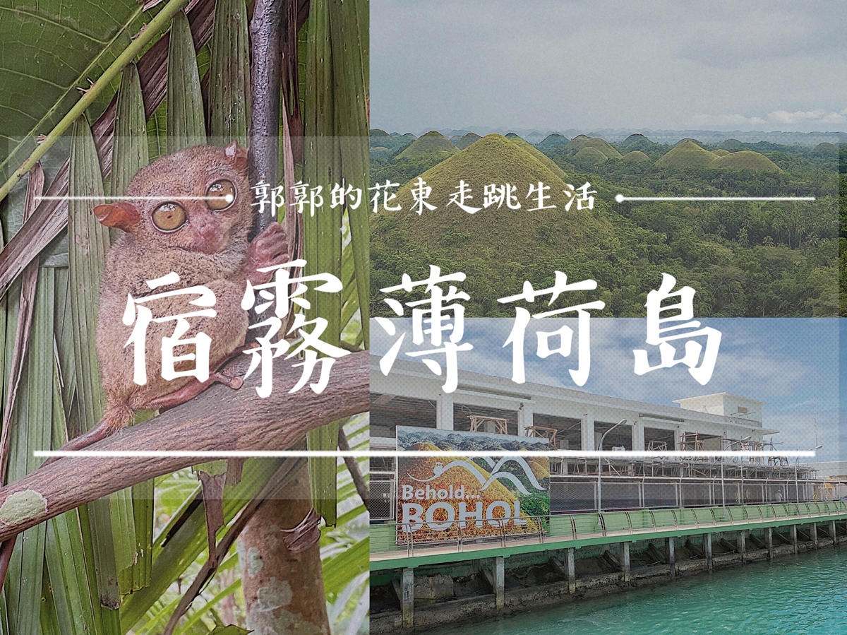 【菲律賓宿霧】薄荷島Bohol Island┃一日跳島怎麼玩不夠？必吃羅伯河漂流竹筏餐，必訪眼鏡猴保護園區、抹茶巧克力山┃