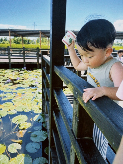 【花蓮遊記】蓮城蓮花園┃東部最大蓮花產地，乘載在地人各種回憶的親子農園┃