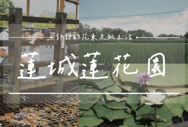 【花蓮遊記】蓮城蓮花園┃東部最大蓮花產地，乘載在地人各種回憶的親子農園┃