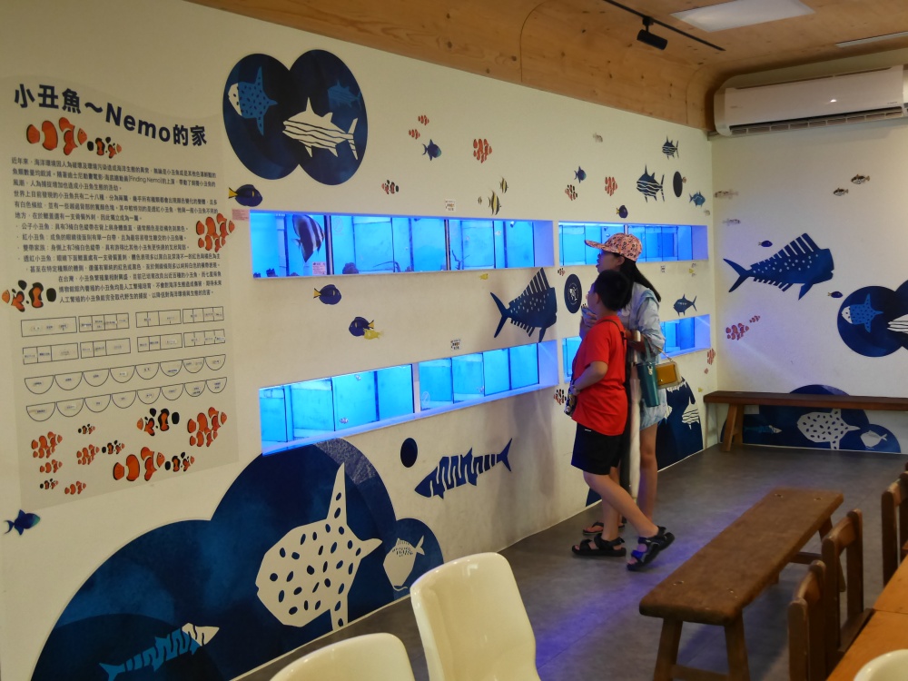 【花蓮遊記】七星柴魚博物館┃親子旅行必收，不用害怕下雨天的室內探索之旅┃