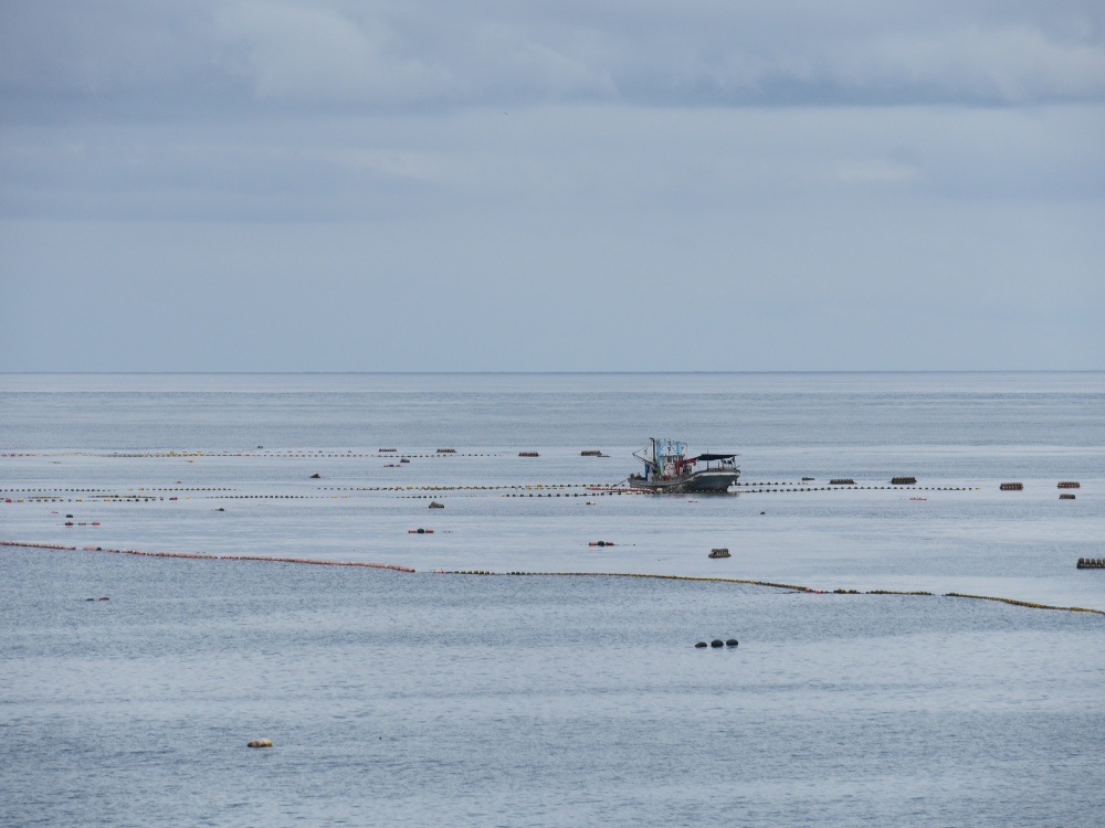 【花蓮遊記】洄遊吧食魚體驗館┃當季洄游魚見面會,半日親子摸魚行程推薦┃ 【花蓮遊記】洄遊吧食魚體驗館┃當季洄游魚見面會,半日親子摸魚行程推薦┃