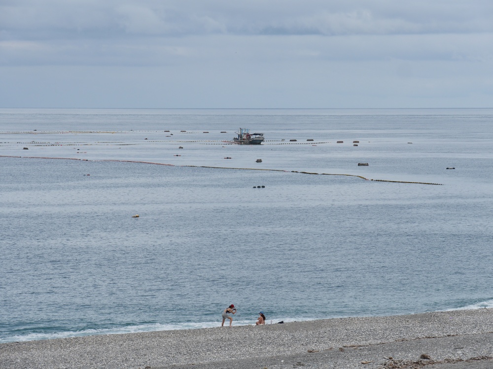 【花蓮遊記】洄遊吧食魚體驗館┃當季洄游魚見面會，半日親子摸魚行程推薦┃