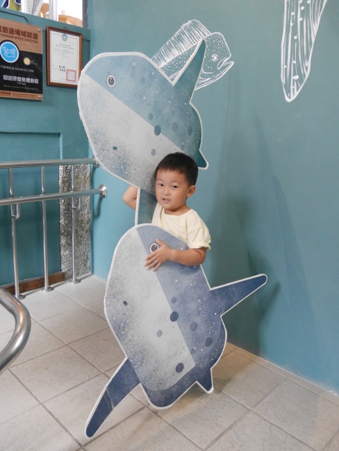 【花蓮遊記】洄遊吧食魚體驗館┃當季洄游魚見面會，半日親子摸魚行程推薦┃