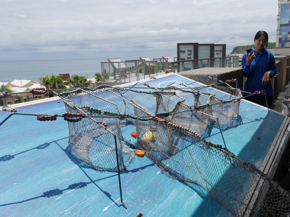 【花蓮遊記】洄遊吧食魚體驗館┃當季洄游魚見面會,半日親子摸魚行程推薦┃ 【花蓮遊記】洄遊吧食魚體驗館┃當季洄游魚見面會,半日親子摸魚行程推薦┃