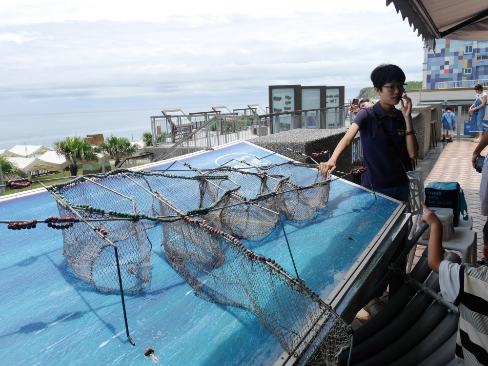 【花蓮遊記】洄遊吧食魚體驗館┃當季洄游魚見面會，半日親子摸魚行程推薦┃