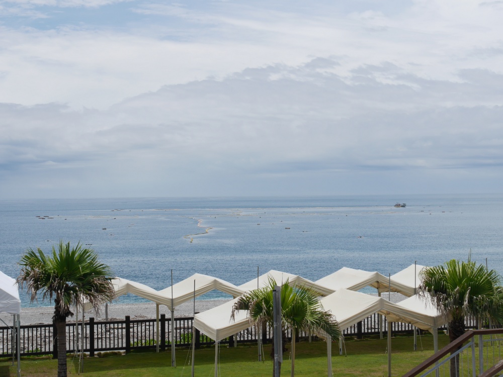 【花蓮遊記】洄遊吧食魚體驗館┃當季洄游魚見面會，半日親子摸魚行程推薦┃