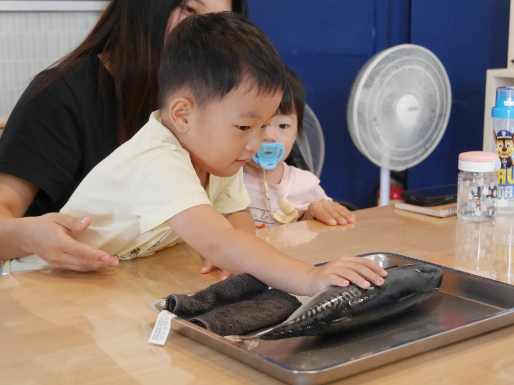 【花蓮遊記】洄遊吧食魚體驗館┃當季洄游魚見面會，半日親子摸魚行程推薦┃