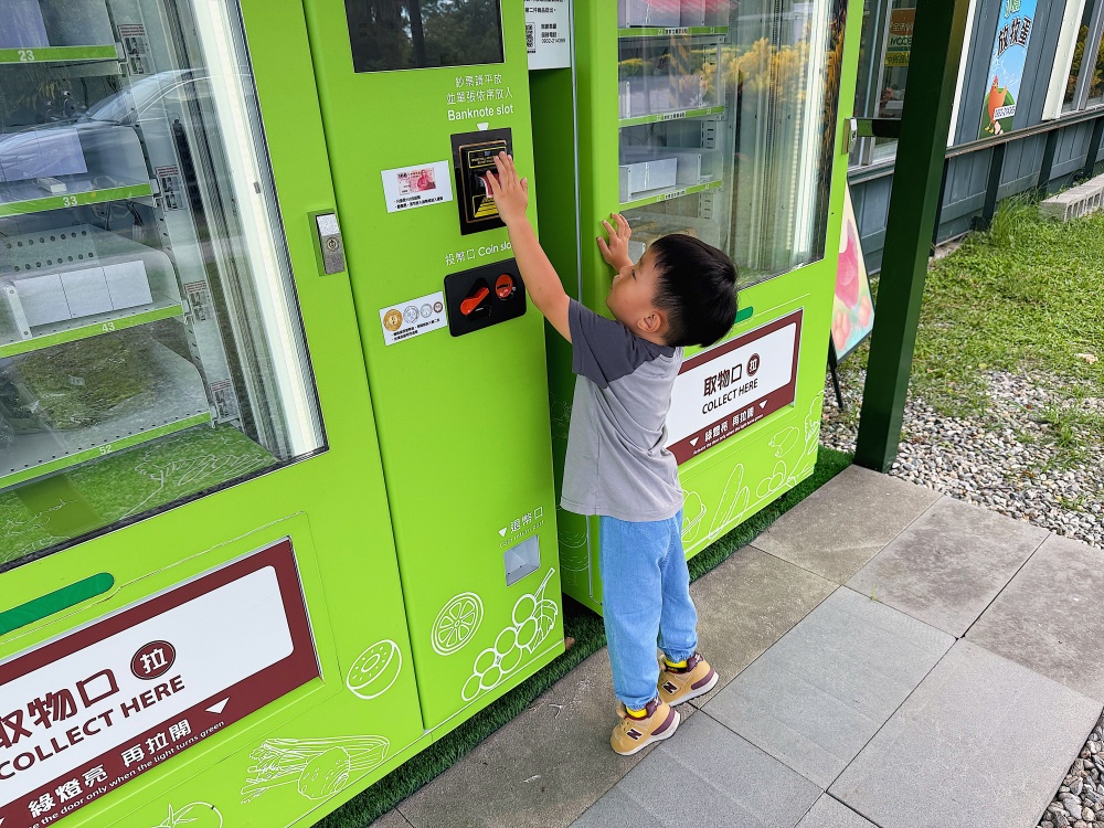【花蓮壽豐】麵包樹下的養雞場┃每日新鮮直送好滋味,全台唯一放牧雞蛋的自動販賣機┃ 【花蓮壽豐】麵包樹下的養雞場┃每日新鮮直送好滋味,全台唯一放牧雞蛋的自動販賣機┃