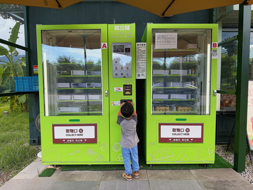 【花蓮壽豐】麵包樹下的養雞場┃每日新鮮直送好滋味，全台唯一放牧雞蛋的自動販賣機┃
