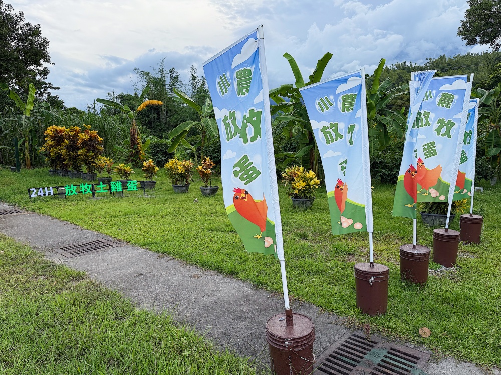 【花蓮壽豐】麵包樹下的養雞場┃每日新鮮直送好滋味,全台唯一放牧雞蛋的自動販賣機┃ 【花蓮壽豐】麵包樹下的養雞場┃每日新鮮直送好滋味,全台唯一放牧雞蛋的自動販賣機┃