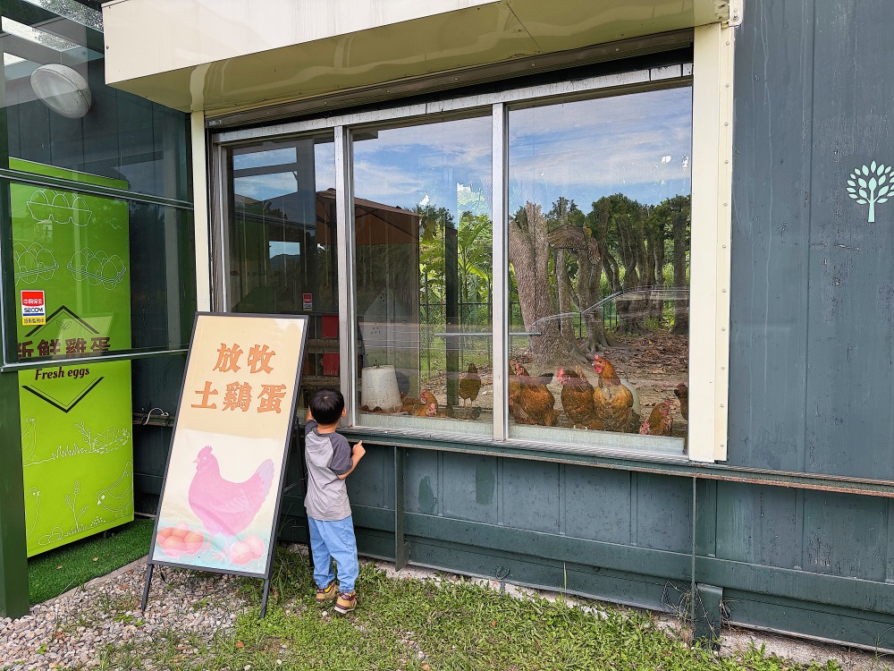 【花蓮壽豐】麵包樹下的養雞場┃每日新鮮直送好滋味，全台唯一放牧雞蛋的自動販賣機┃