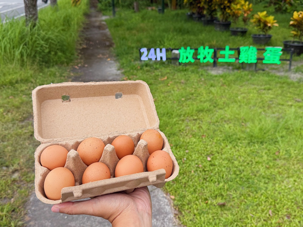 【花蓮壽豐】麵包樹下的養雞場┃每日新鮮直送好滋味,全台唯一放牧雞蛋的自動販賣機┃ 【花蓮壽豐】麵包樹下的養雞場┃每日新鮮直送好滋味,全台唯一放牧雞蛋的自動販賣機┃