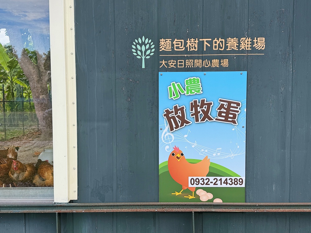 【花蓮壽豐】麵包樹下的養雞場┃每日新鮮直送好滋味,全台唯一放牧雞蛋的自動販賣機┃ 【花蓮壽豐】麵包樹下的養雞場┃每日新鮮直送好滋味,全台唯一放牧雞蛋的自動販賣機┃
