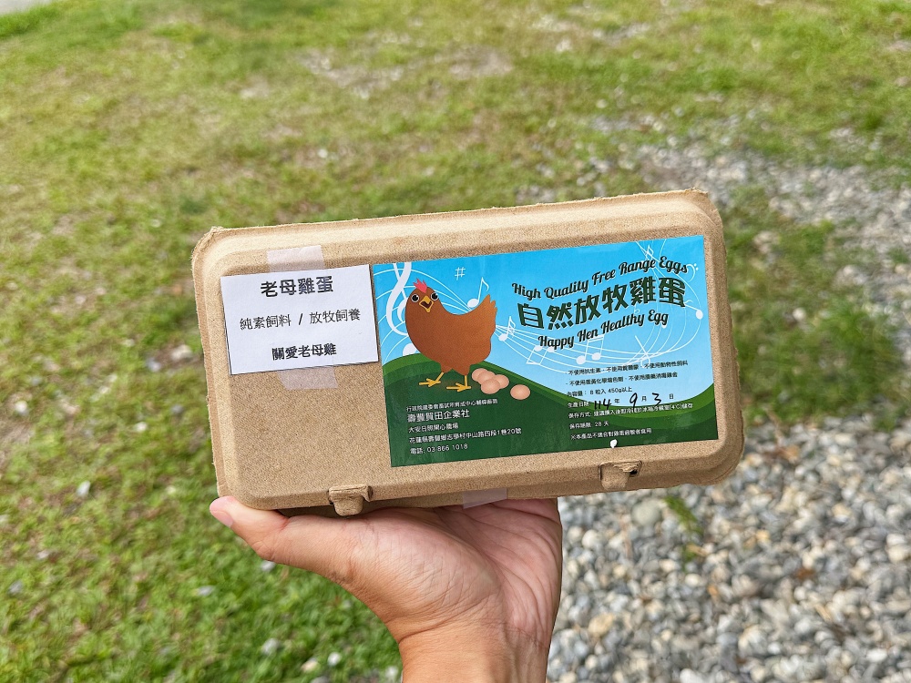 【花蓮壽豐】麵包樹下的養雞場┃每日新鮮直送好滋味，全台唯一放牧雞蛋的自動販賣機┃