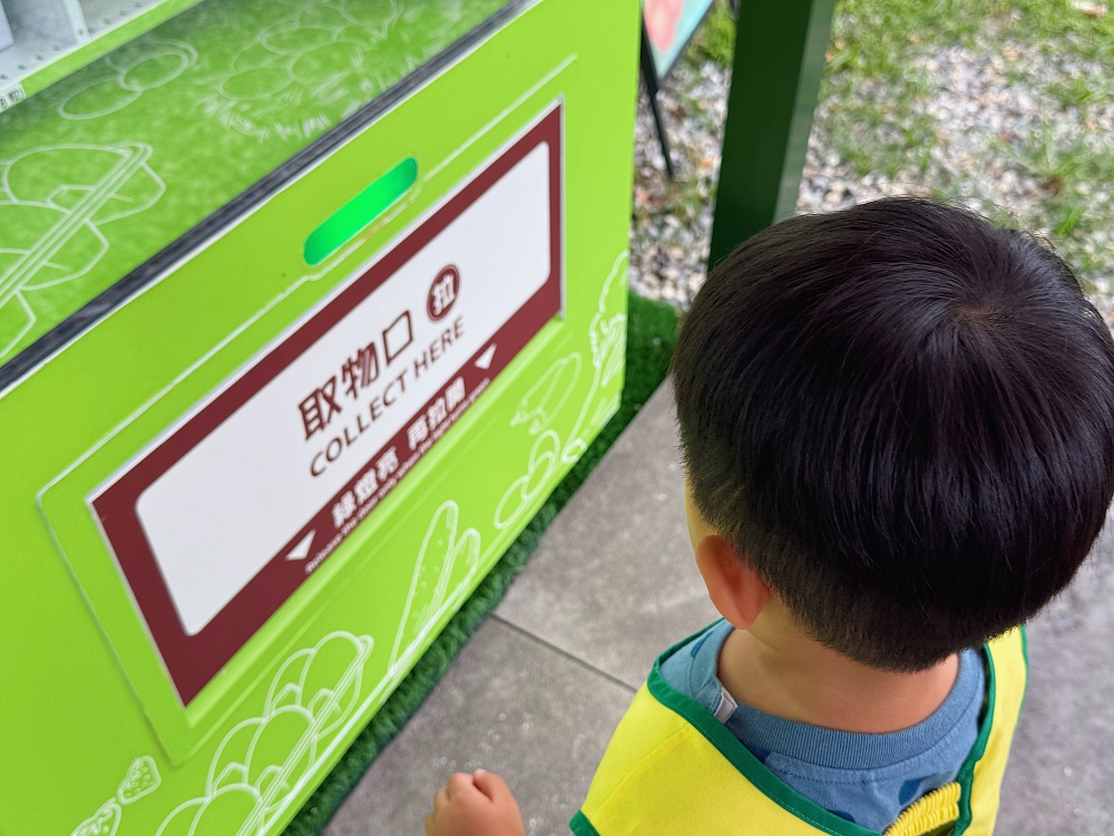 【花蓮壽豐】麵包樹下的養雞場┃每日新鮮直送好滋味,全台唯一放牧雞蛋的自動販賣機┃ 【花蓮壽豐】麵包樹下的養雞場┃每日新鮮直送好滋味,全台唯一放牧雞蛋的自動販賣機┃