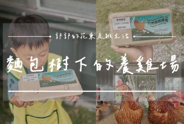 【花蓮壽豐】麵包樹下的養雞場┃每日新鮮直送好滋味，全台唯一放牧雞蛋的自動販賣機┃