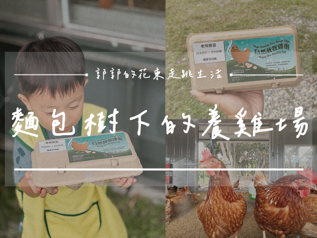 【花蓮壽豐】麵包樹下的養雞場┃每日新鮮直送好滋味，全台唯一放牧雞蛋的自動販賣機┃