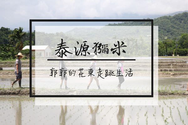 【台東遊記】泰源幽谷獼米稻作體驗~自產自銷的稻米產銷班小農有機米