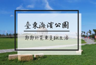 【台東遊記】2018年八月臺東海濱公園.國際地標.鳥巢天空樹走入歷史