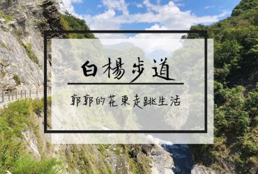 【花蓮遊記】太魯閣白楊步道┃近天祥遊憩區的滴水穿石型步道┃